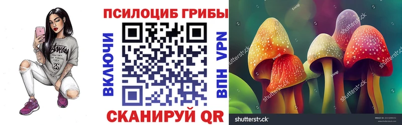 где найти   Козельск  кракен вход  Псилоцибиновые грибы прущие грибы 